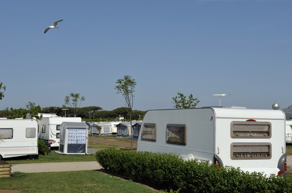 Découvrez les surf shops de guidel avec le camping les jardins de kergal